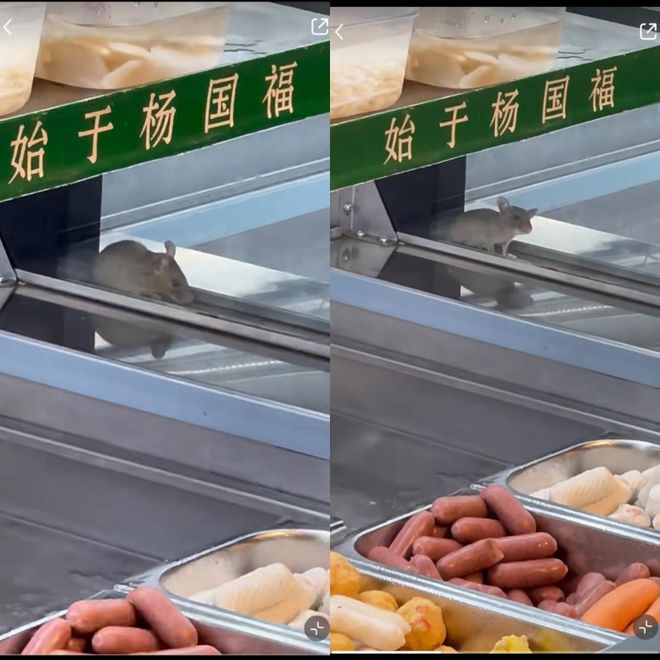 福出事了！全部下架开元棋牌试玩杨国(图3)